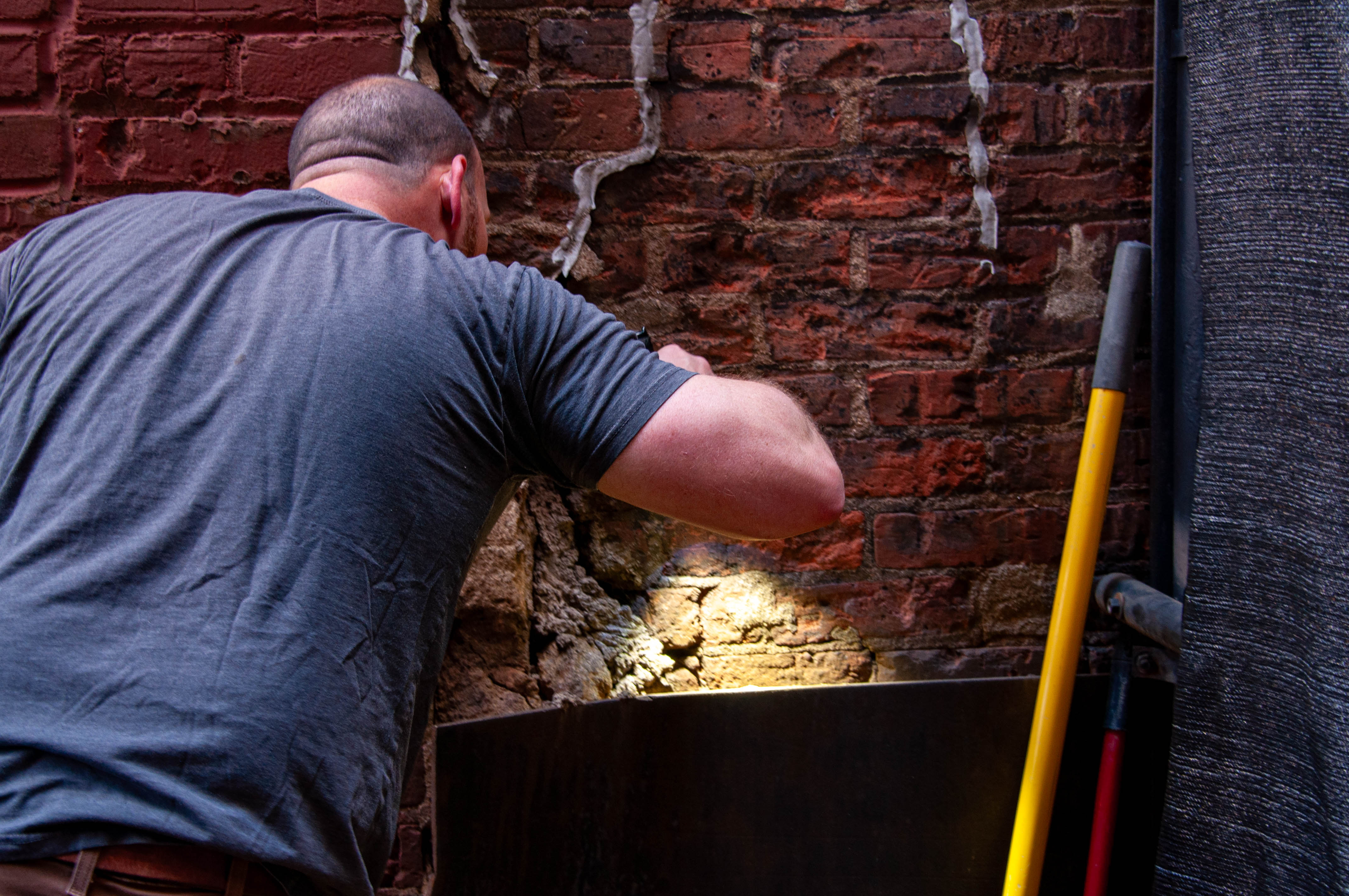 Graduate Pest Control